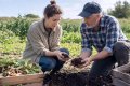 Jak Unia Europejska zamienia odpady z żywności w lepszą glebę - Waste4Soil